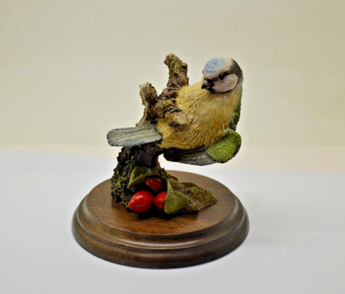 Country artists birds bluetit - birds,