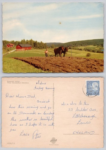 C31758 horse drawn - horse,