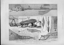 Original Old Antique Print