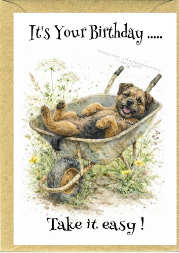 Border terrier dog birthday - border,