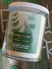 Bath & Body Works eucalyptus &