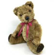 Pedigree Teddy Bear Golden