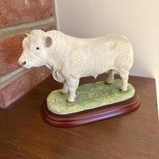 Border Fine Arts Charolais