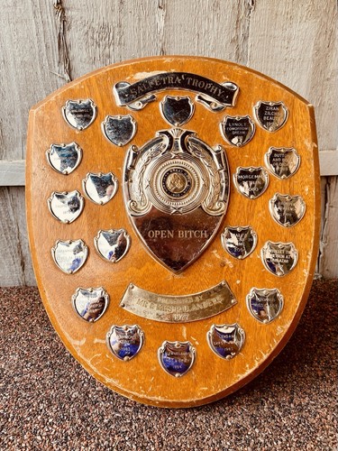 Big trophy shield 12 - big,