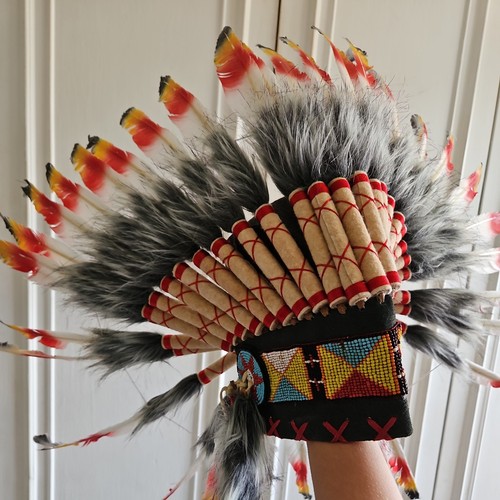 Native american indian - american,