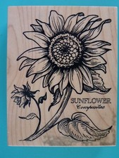 Botanical Sunflower, Large PSX