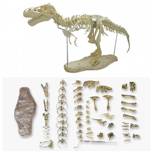 Rex tyrannosaurus - tyrannosaurus,