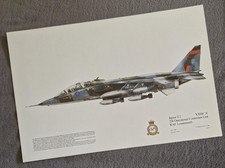 Squadron Print Jaguar T.2