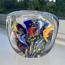 Murano Aquarium Double Sided Fish Under the Coral Sea Glass Paperweight 1014g