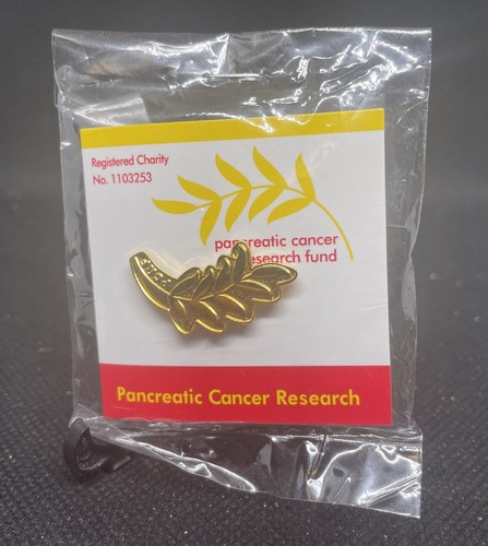 Pancreatic cancer research - pancreatic,
