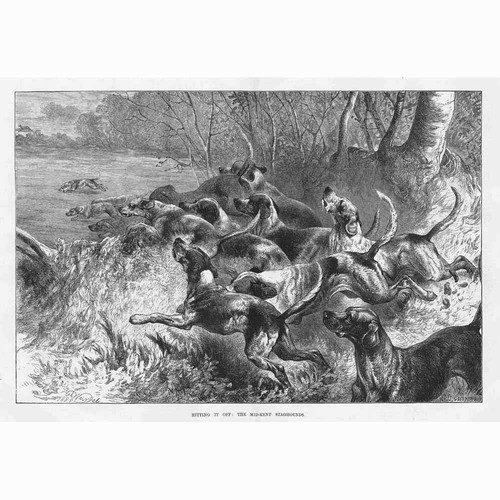 Hunting the mid kent - hunting,