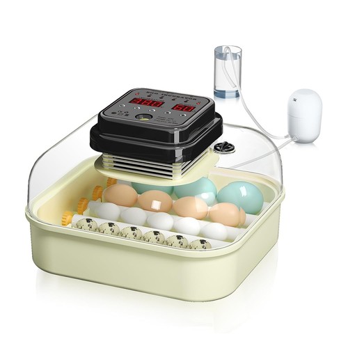 Automatic incubator eggs - automatic,