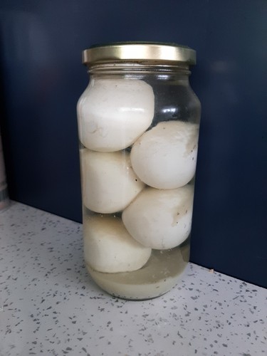 Pickled eggs deli homemade - pickled,