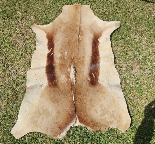 Genuine natural springbok hide - genuine,
