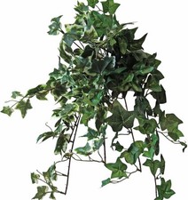 Set of 2 Artificial Variegated or Green Ivy Garland Indoor/Outdoor Hanging Decor