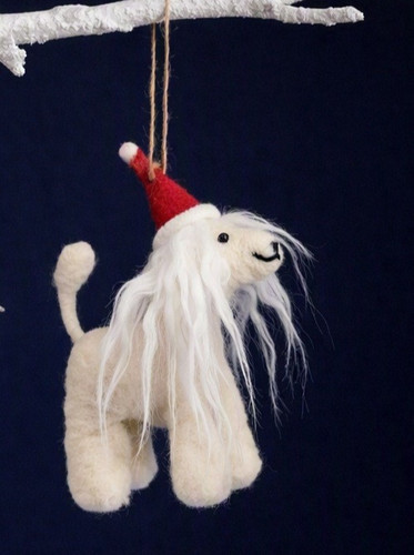 Sass belle afghan hound - sass,