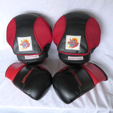 Martial Arts Sparring kit - Childs, Small 8/10 yrs - Gloves and Pads