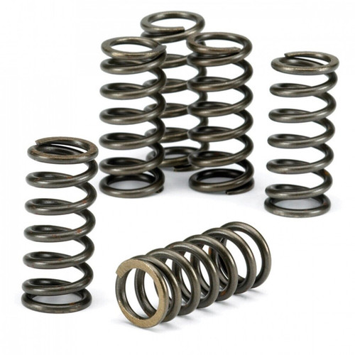 Csk007 ebc clutch springs - ebc, for
