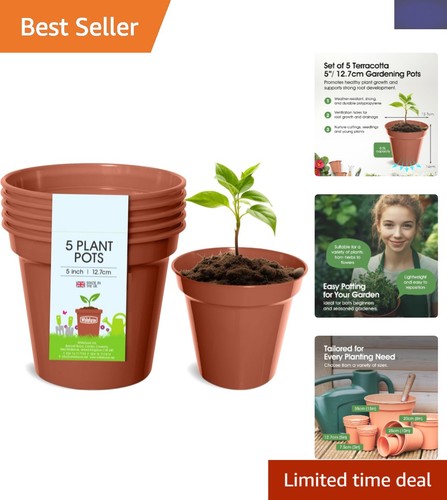 Set round terracotta - 5,
