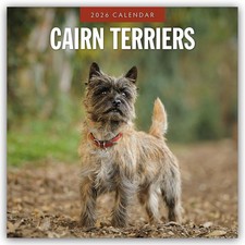 Cairn Terriers 2026 Square Wall Calendar: Original Red Robin Publishing Ltd-Kale