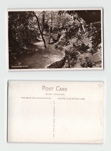 Postcard branksome chine - postcard,