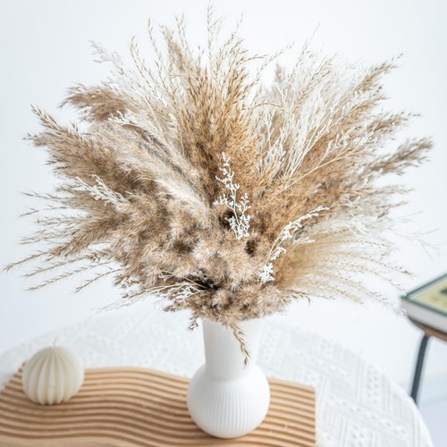 Fluffy dired reed grass - reed, grass,