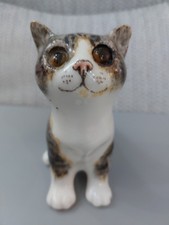 Very Cute Winstanley Kitten in