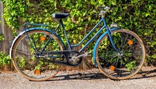 Vintage Gazelle Gelderland
