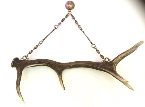 Large red deer antler - deer,