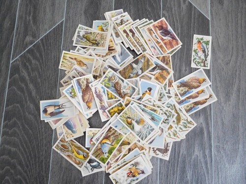 175 brooke bond tea cards - brooke,