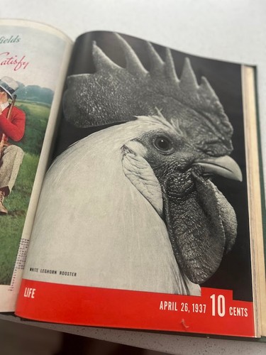 Life magazine bound - life, volume