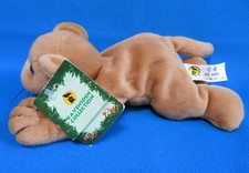 LIONESS 🦁 WILD CAT FLOPPY