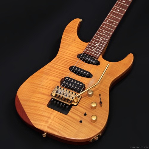 Fernandes 150s type - fernandes,