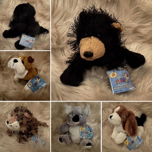Lot webkinz black bear - of,