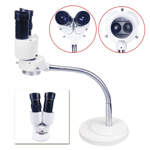 10x dental binocular - 10x,