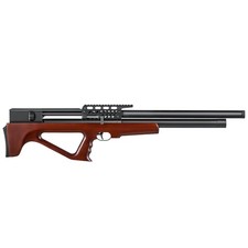PINTY .22 PCP Pellet Air Rifle