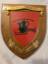 Vintage 181 (WRAC) Pro Coy RMP 23 Portadown Regiment Oak Crest Shield Plaque