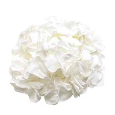 White Rose Petals, Real Preserved Rose Petals