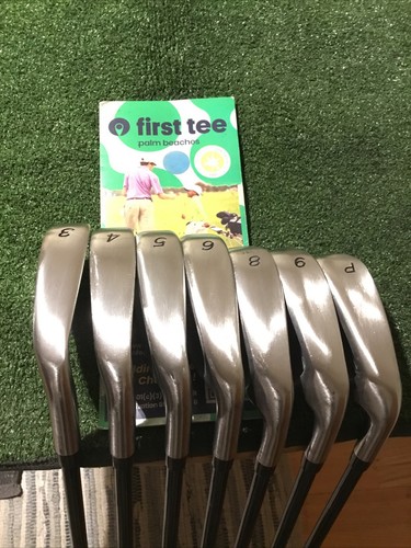 Warrior custom golf irons - te,