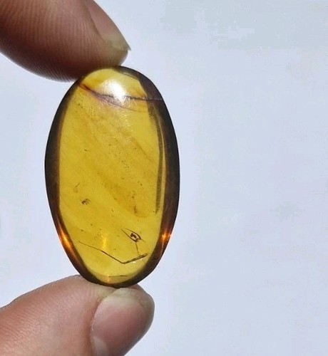 Amber with inclusions 66 - with,