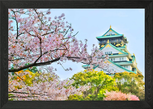 Beautiful flowers framed - beautiful,