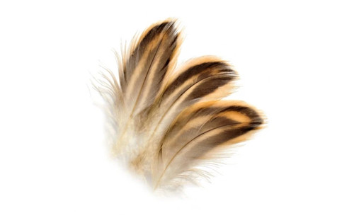 Hen mallard flank feathers - flank, for