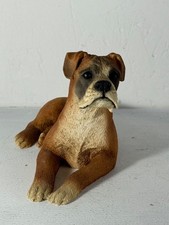 Castagna Italy, Boxer Dog