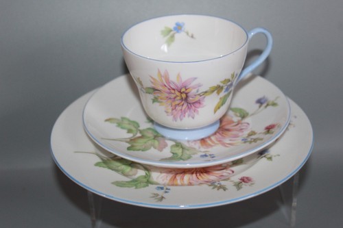 Shelley chrysanthemum pattern - chrysanthemum,