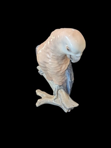Parrot dahl jensen 2019 - dahl, jensen#2019