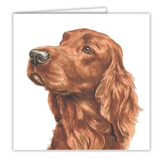 Irish Setter greetings card