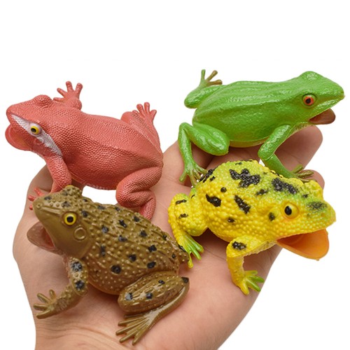 Funny fake frog squeaky water - funny,