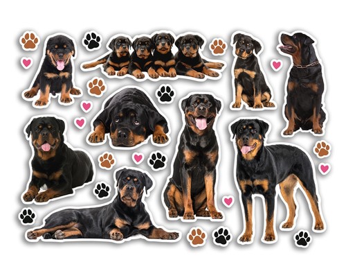 Sticker sheet rottweiler - a5,