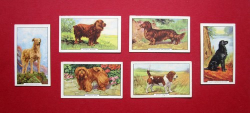Gallaher six vintage - gallaher,