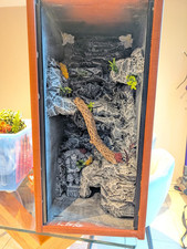 reptile vivarium 3d 